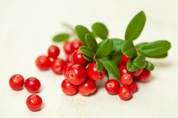 Healthy berries. Red cowberry on white wooden board