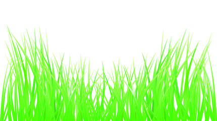 Green Grass. Vector Illustration.