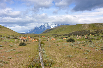 Torres del Paine National Park, Chile.