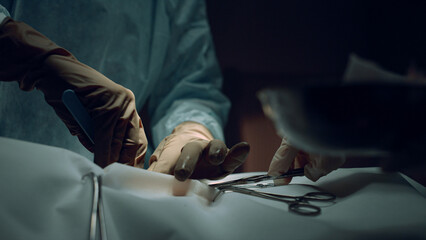 Medical hands performing operation close up. Unknown nurse handing equipment.