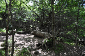 Torres del Paine National Park, Chile.