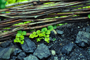 Potager monastère