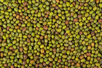 Green mung bean close-up. Mung bean background. Macro font.