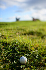 Herbes terrain de golf