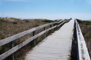 Fototapeta na wymiar Ascending Boardwalk Up Through the Grassy and Sandy Dunes