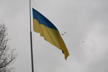 Flag of Ukraine against a cloudy sky and storks