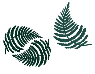 illustration of a set of different leaves and twigs in green