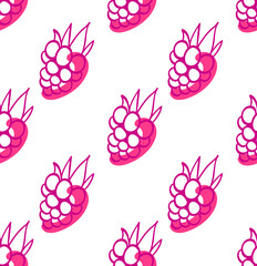 Bright juicy raspberry seamless pattern vector illustration. Summer design with berries. Hand drew ink doodle style. Abstract fruit. 