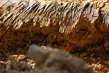 Earth ground. Loose soil. Soil rocks. Excavated earth.