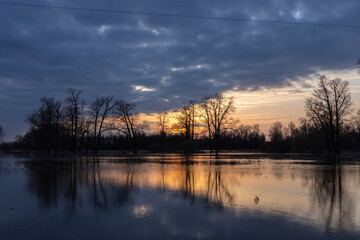 Obraz premium Dramatic evening landscape. The sunset sky is reflected in the water. Silhouettes of fabulous trees at sunset. The river overflowed its banks.