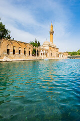 Balikligol (The Fish Lake in English) in Sanliurfa, Turkey.  The historic Pool of Abraham, or Pool...