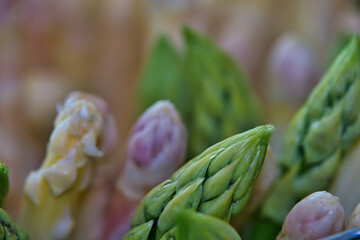 Spring season, new harvest of German white and green asparagus, bunch of raw green and white asparagus in basket with background of wood