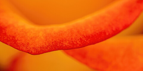 An extreme close up to a orange rose - Powered by Adobe