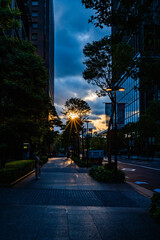 雨上がりの夕陽