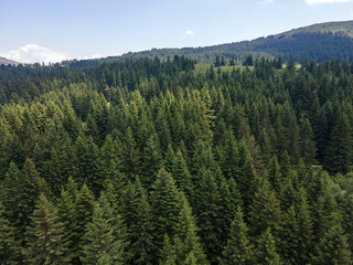 Aerial view of Konyarnika area at Vitosha Mountain, Bulgaria