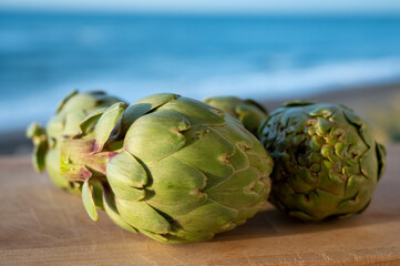 Obraz premium Green heads of artichokes plants uncooked with blue sea on background