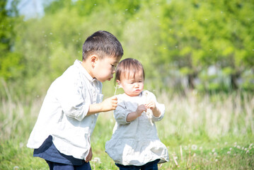 Fototapeta premium たんぽぽの綿毛を吹く5歳の男の子と1歳の女の子