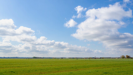 Countryside landscape with flat and low land under blue sky and white clouds as background, Typical Dutch polder and water land with green meadow, Small villages in Noord Holland province, Netherlands