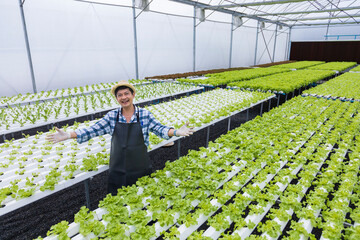 Happy Asian local farmer growing their own salad lettuce in the greenhouse using hydroponics water...