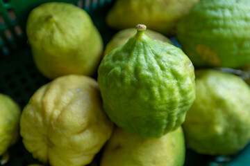 Cider or cidra in portuguese is a citrus fruit
