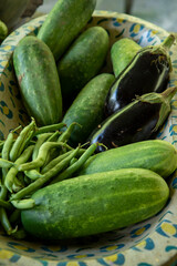 colorful vegetable bowl with chayote, cucumber, eggplant, string beans