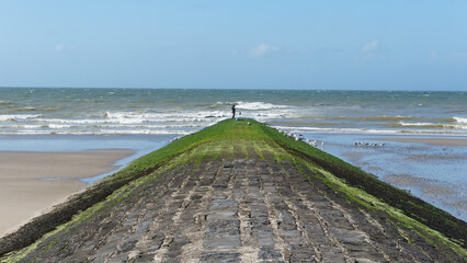 breakwater with green seaweed on it leading to the ocean with fisher man at the end, Oostende,...
