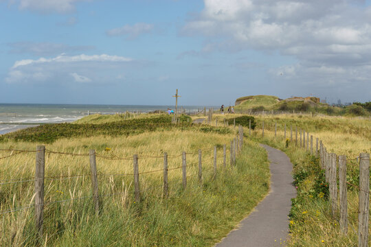 Wede Bilder – Durchsuchen 368 Archivfotos, Vektorgrafiken und Videos ...