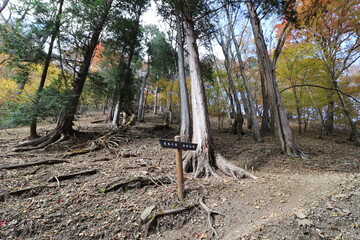 秋の埼玉県秩父の両神山の登山