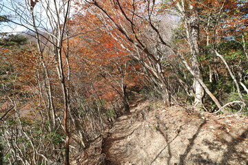 秋の埼玉県秩父の両神山の登山