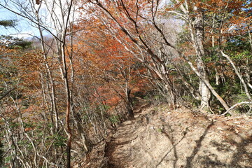 秋の埼玉県秩父の両神山の登山
