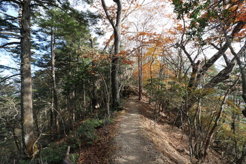 秋の埼玉県秩父の両神山の登山