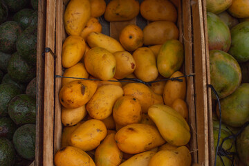 potatoes, avocadoes, and mangos
