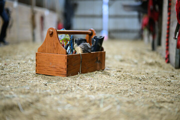 Horse grooming box with grooming tools