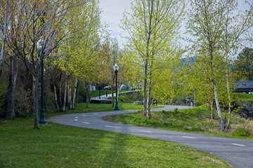 Tree lined bike path in north Idaho.