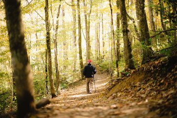 Obraz premium Man Walking in the Forest At Dawn