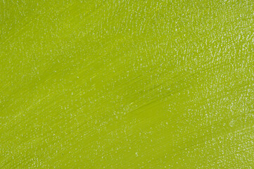light olive-green solid background with reflections, close