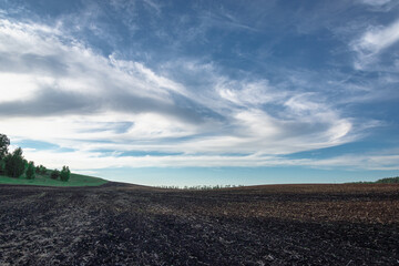 Fototapeta premium Evening field with black earth and green glade with forest.