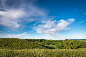 Green grass, hills field and forest at sunset.