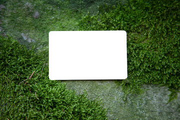 blank card mockup on fresh green garden forest moss mossy rock ecology enviroment nature hunt background concept with copy space 
