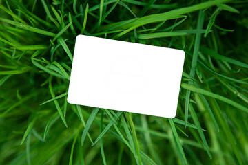 business card mockup on fresh green garden grass lawn. ecology enviroment nature hunt background...