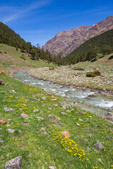 Marka river. Caucasus Mountains spring landscape. Karachay-Cherkessia republic, Russia - obrazy, fototapety, plakaty
