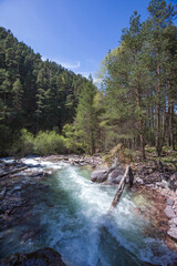 Marka river. Caucasus spring landscape. Karachay-Cherkessia republic, Russia - obrazy, fototapety, plakaty