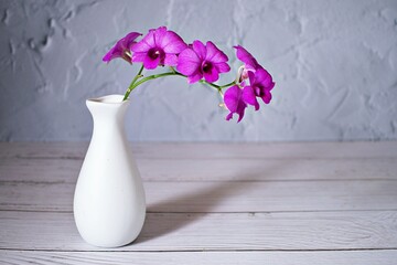 Purple flowers in vase on the table,Purple-pink flower orchids still life background or wallapper cooktown ,Dendrobium bigibbum mauve butterfly orchid ,Callista bigibba Callista sumneri blooming  - Powered by Adobe
