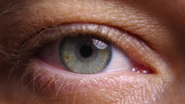 The human eye in close-up. The pupil is slightly dilated and narrowed. Blue iris. The eyelid blinks several times
