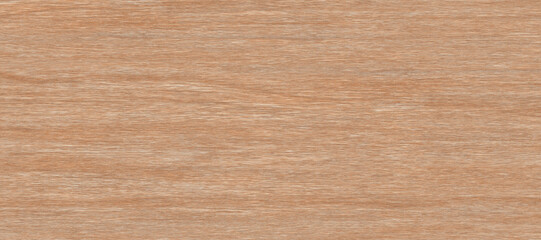 Wood texture background, wood planks. Grunge wood, painted