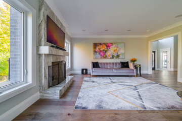 Living room interior design in custom house