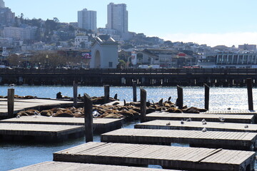 Fototapeta premium Pier 