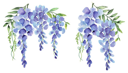 Wisteria Blue and Purple Flower Bunch Watercolor Collection of 2, Hand Painted on Isolated White Background - 503235122