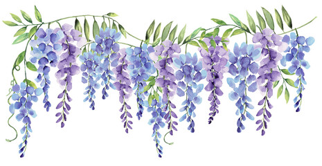 Wisteria Small Border Line Watercolor Hand Painted on Isolated White Background 