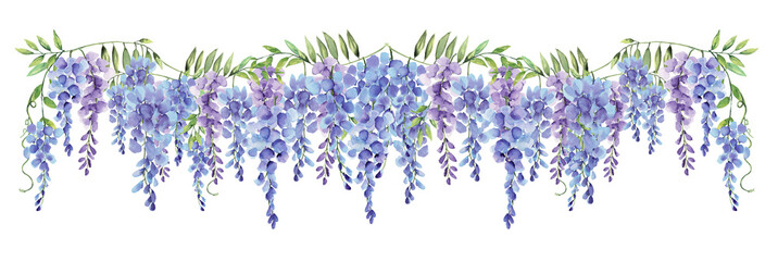 Wisteria Long Border Line Watercolor Hand Painted on Isolated White Background - obrazy, fototapety, plakaty